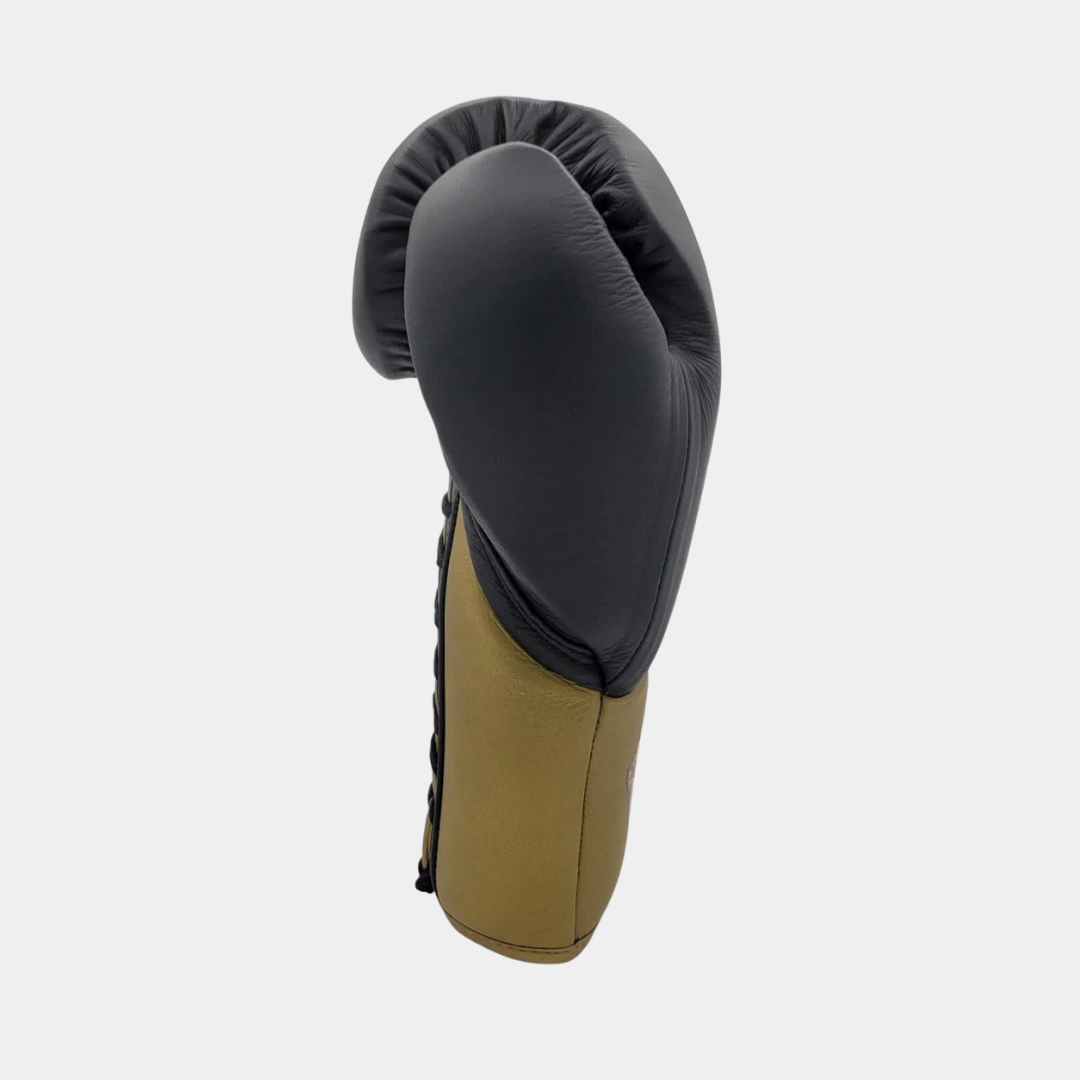 Team Benavidez Pro Fight Boxing Gloves