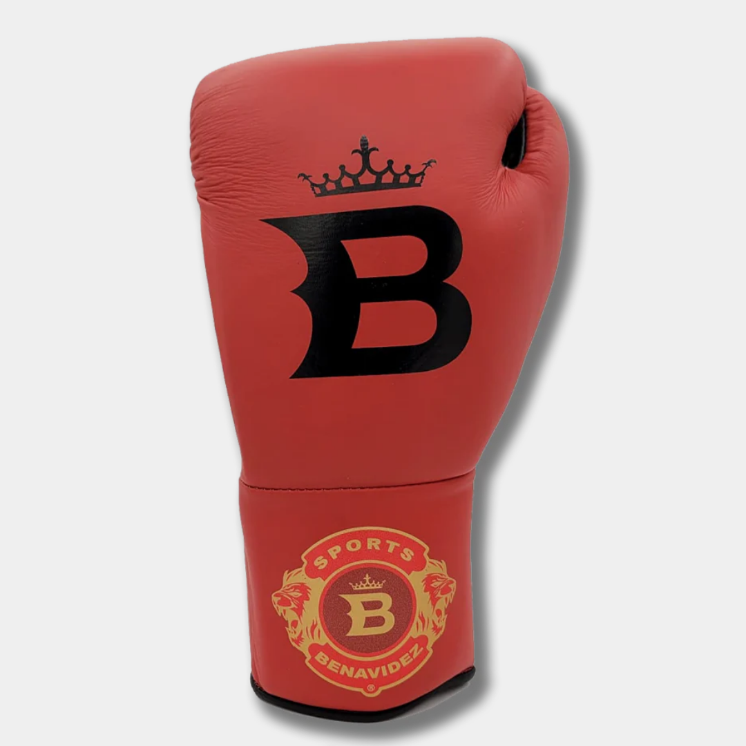 Team Benavidez Pro Fight Boxing Gloves